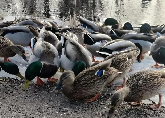 'design Korter Kehras' *